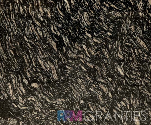 Black Zebra
